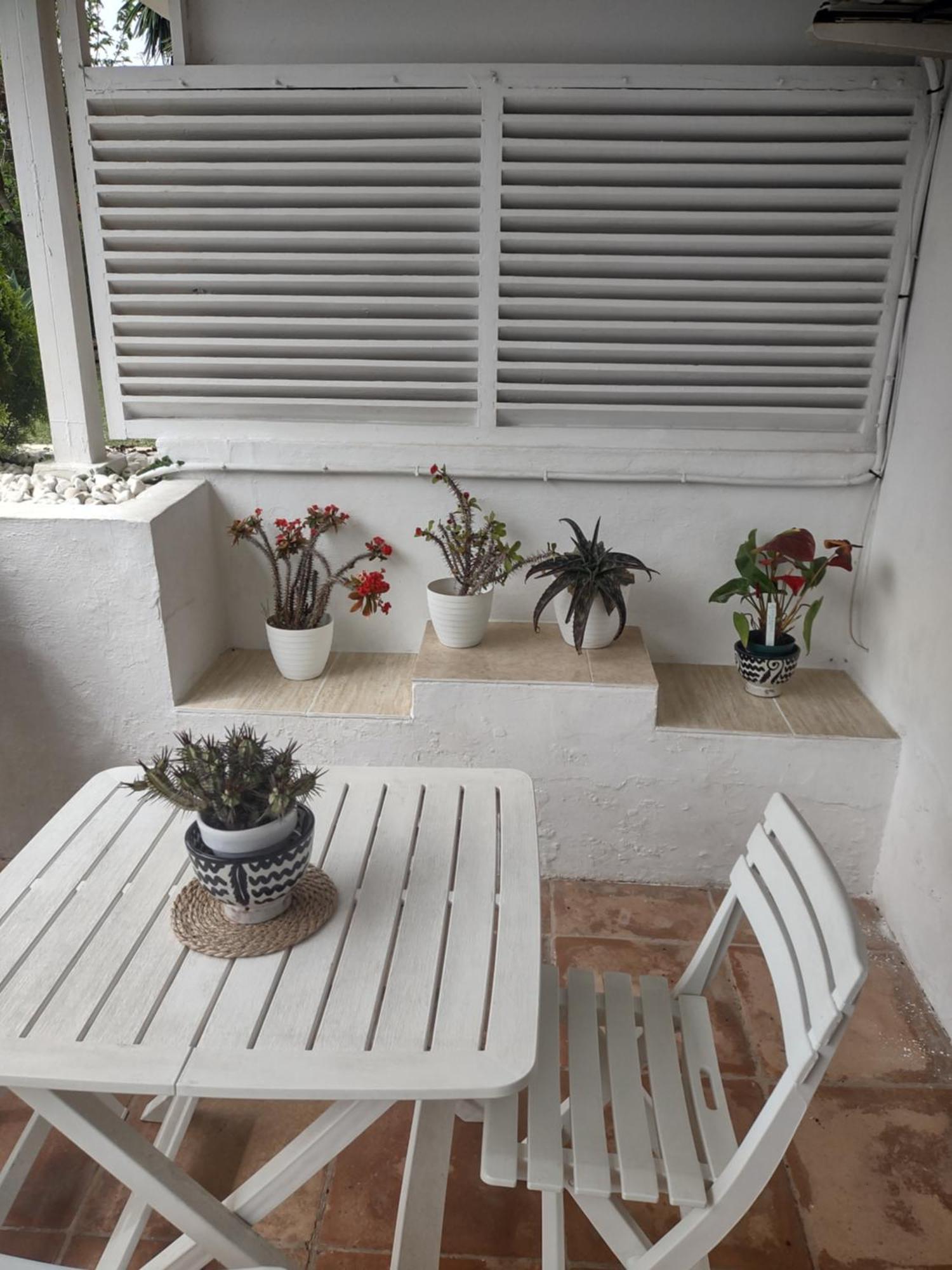 Puerto Banus Apartment Near Beachfront, Big Sunny Terrace, Pool, Tennis Court, Parking & Movies Projector Marbella Bagian luar foto